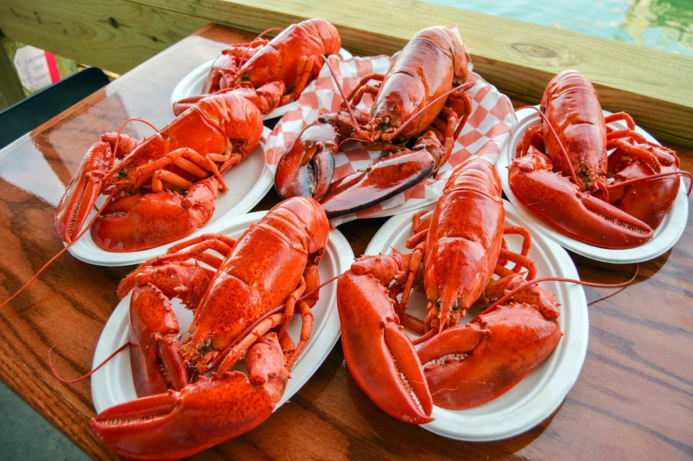 Down the Maine Lobster Trail - A Culinary Adventure