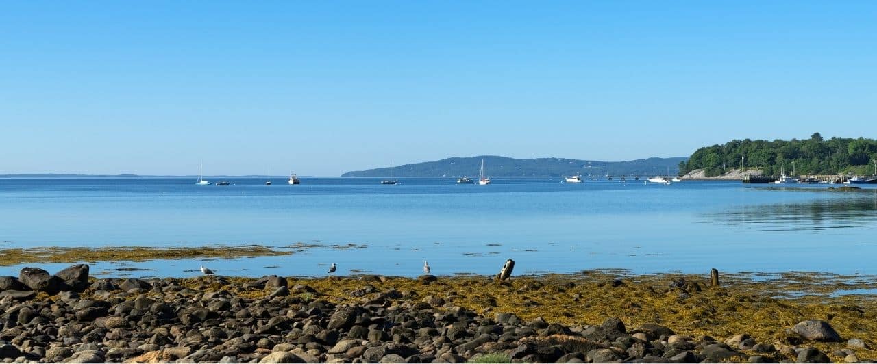 a view of the coast of searsport maine on a cloudless day